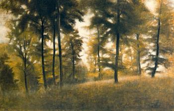 Vilhelm Hammershoi : Beech Forest, Arresodal